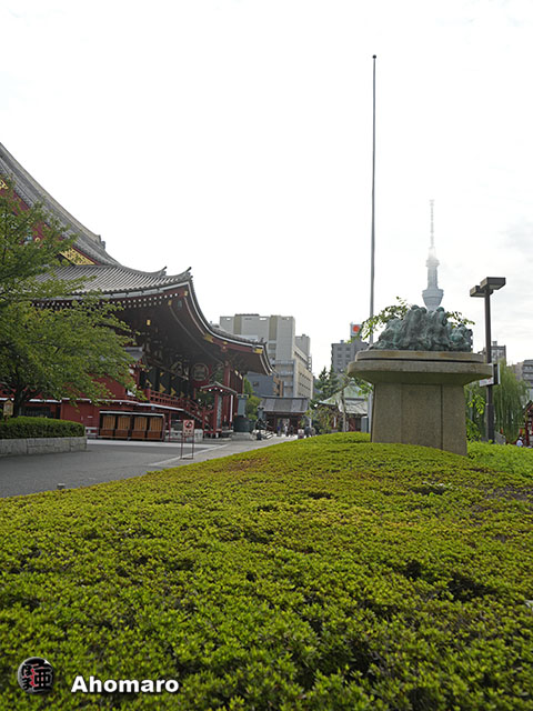 写真00