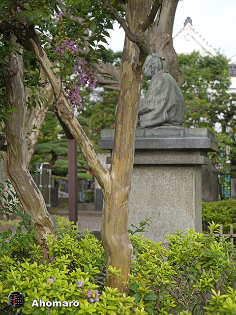 写真00