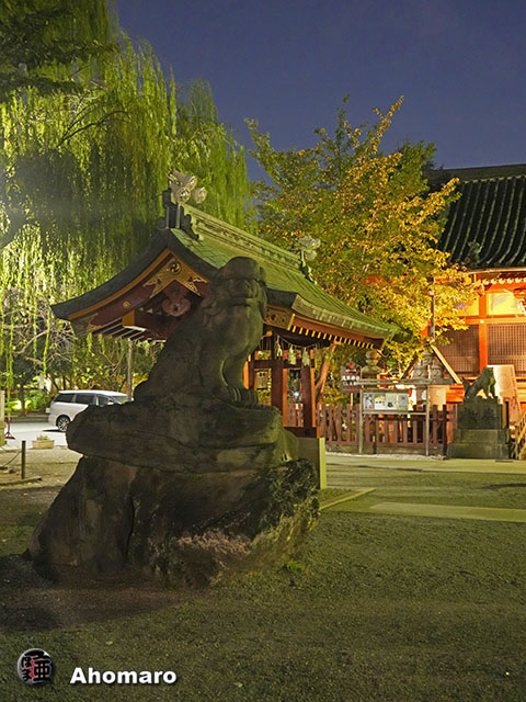 写真00