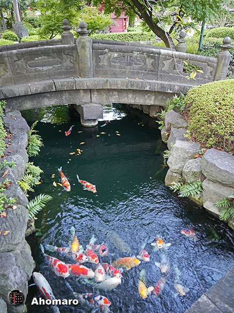 写真00