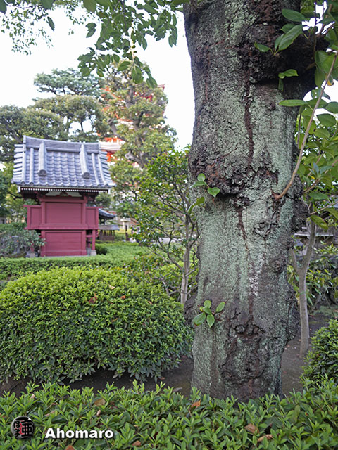 写真00
