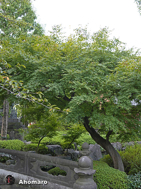写真00