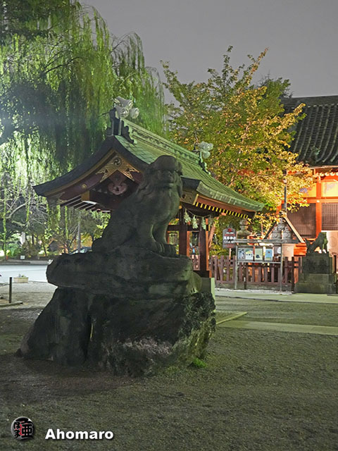 写真00
