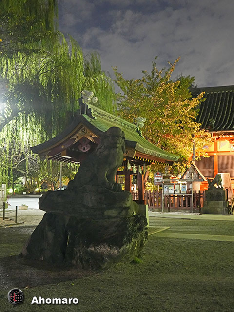 写真00