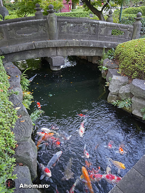 写真00