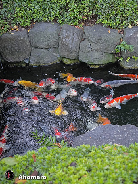 写真00