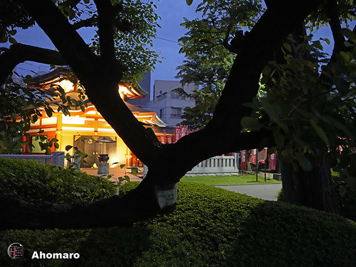 写真00