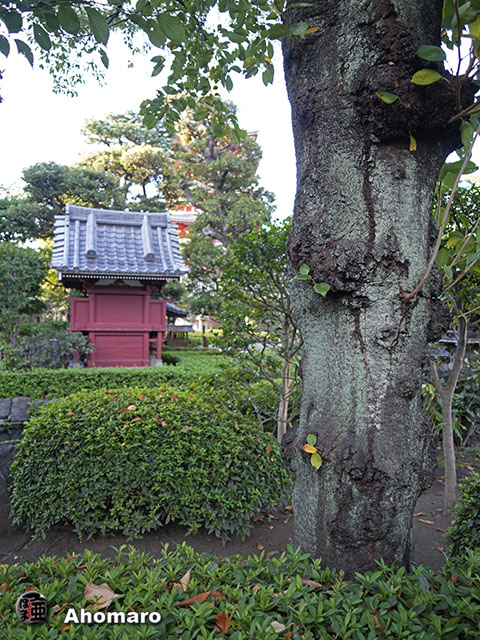 写真00