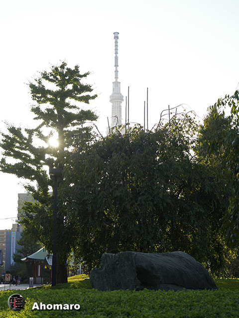 写真00