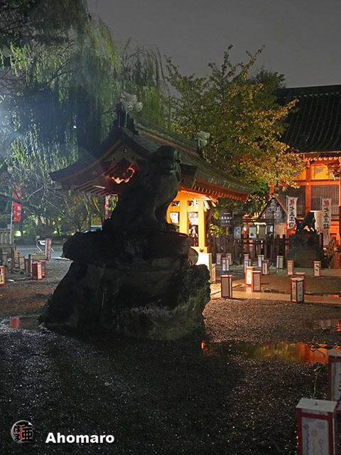 写真00