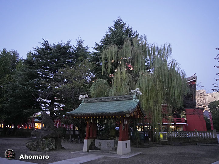写真00