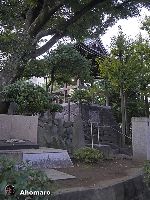 写真00