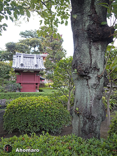 写真00