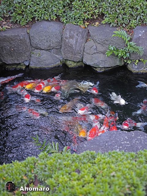 写真00