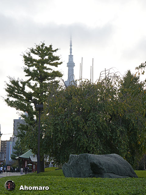 写真00