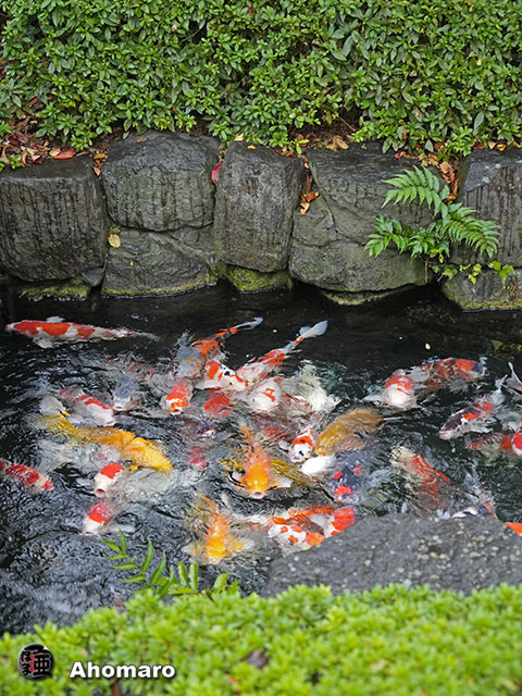 写真00