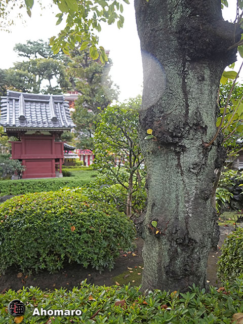 写真00