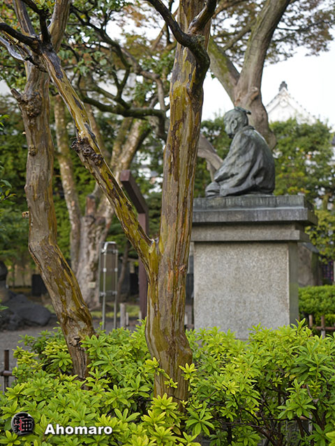 写真00