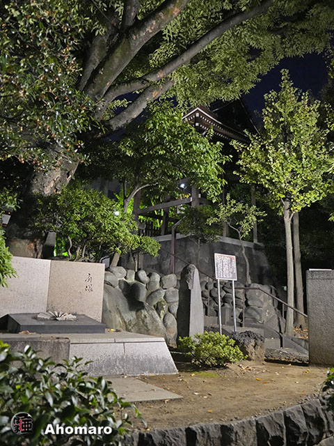写真00