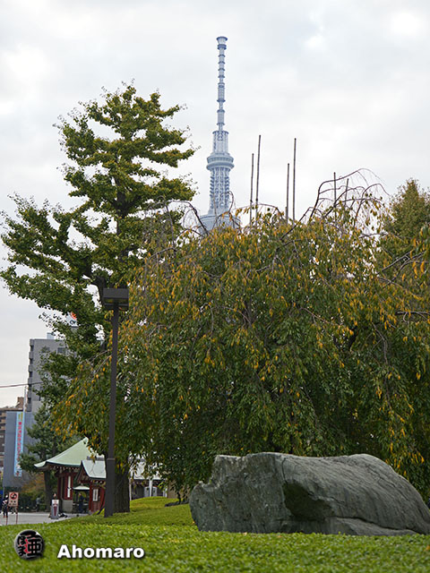 写真00