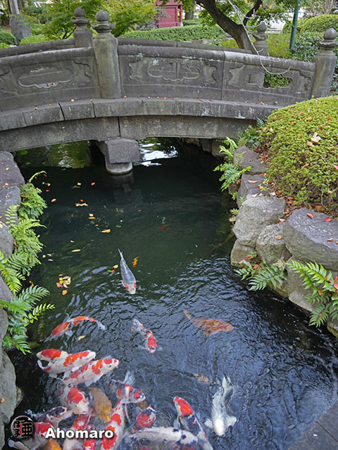 写真00