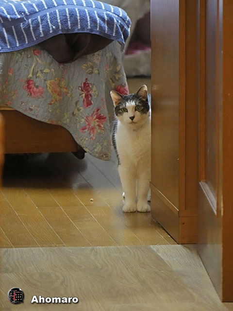 ʐ^00