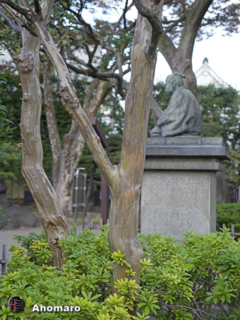 写真00
