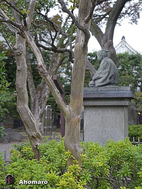 写真00