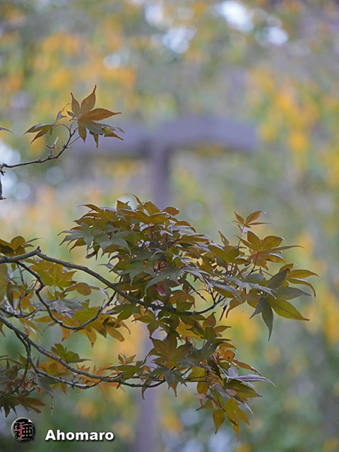写真00