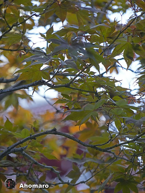 写真00