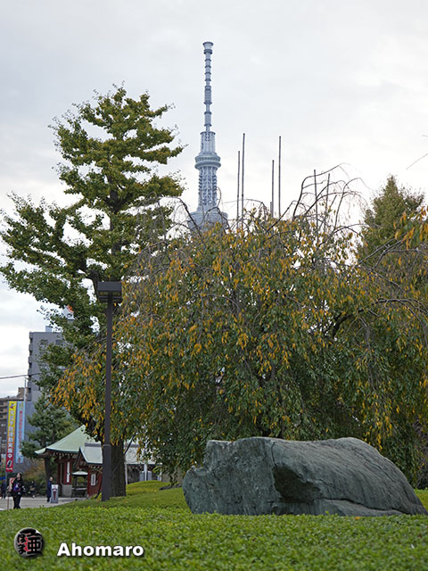 写真00