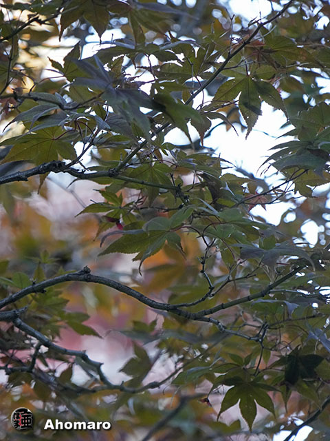 写真00