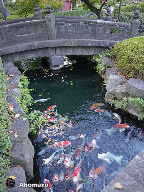 写真00
