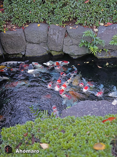 写真00