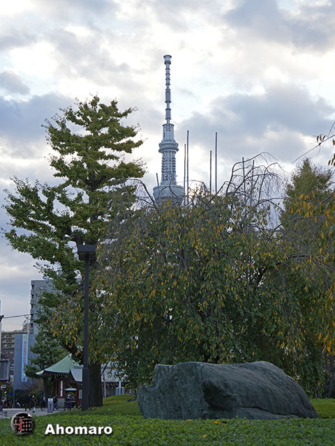 写真00