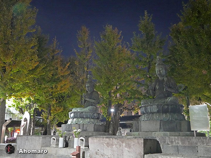 写真00