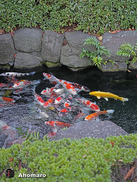 写真00