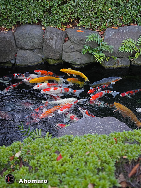 写真00
