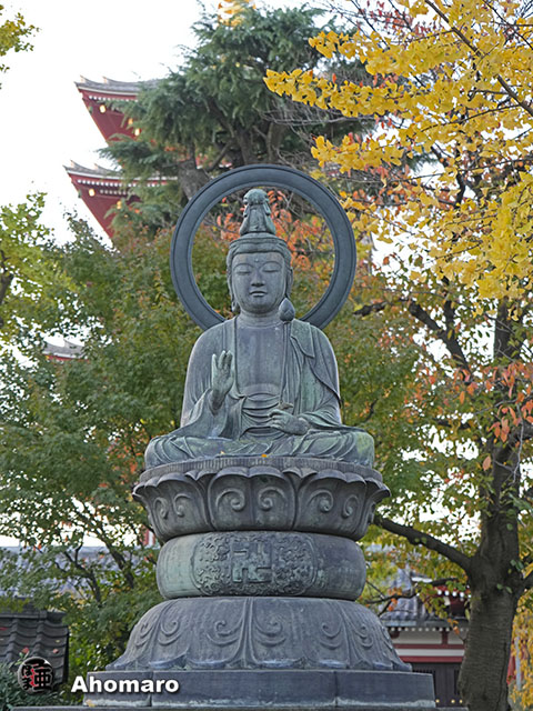 写真00