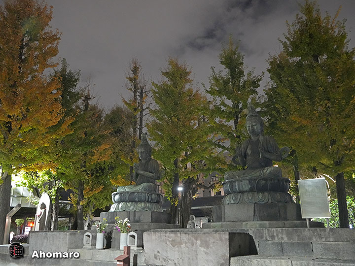 写真00