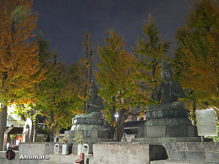 写真00