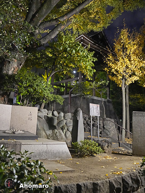 写真00