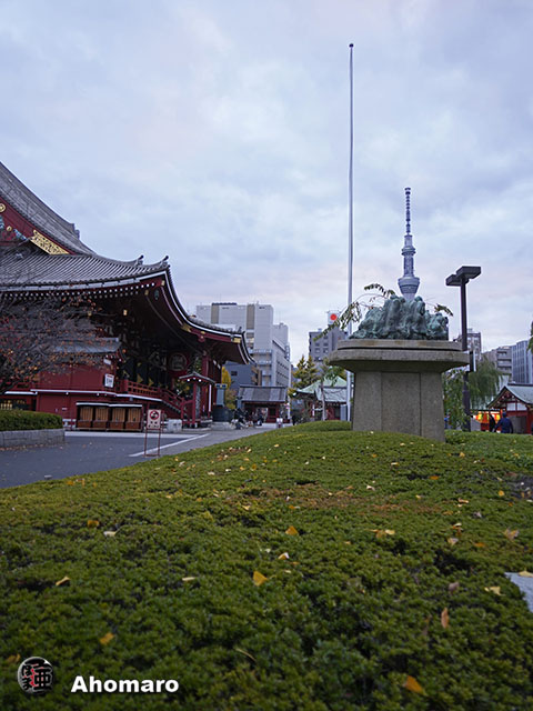 写真00