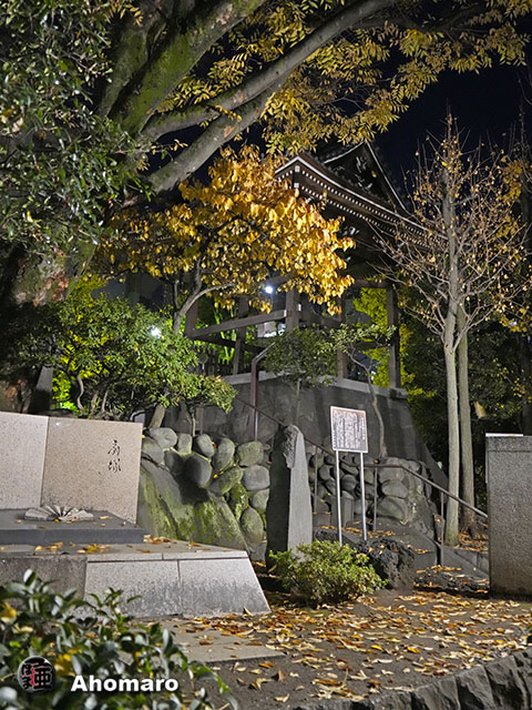 写真00