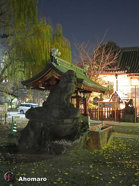 写真00