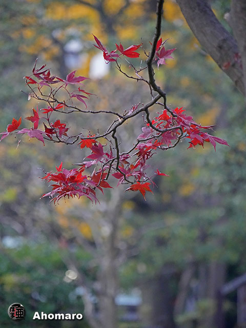 写真00