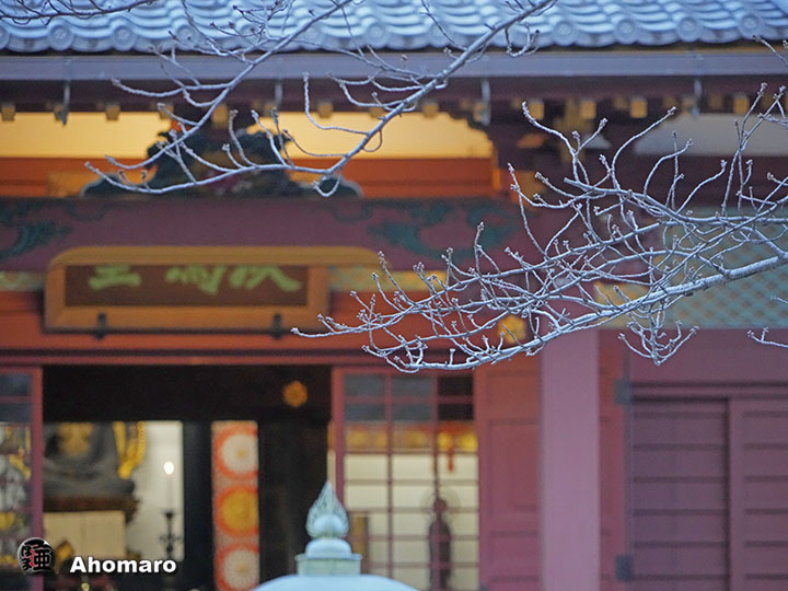 写真00