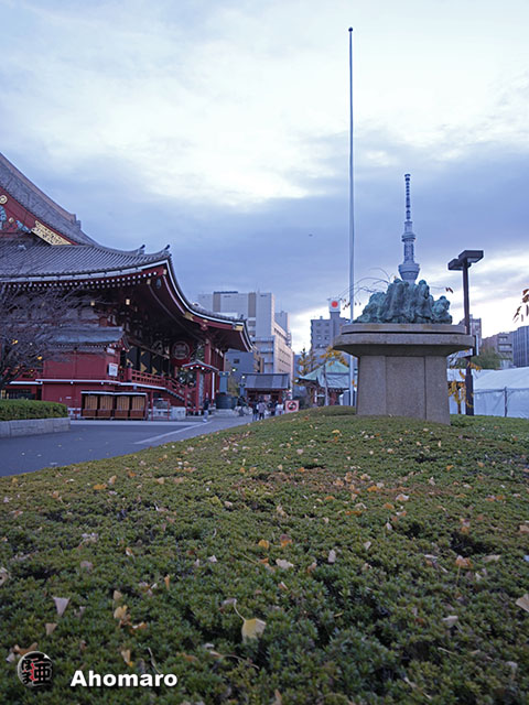 写真00