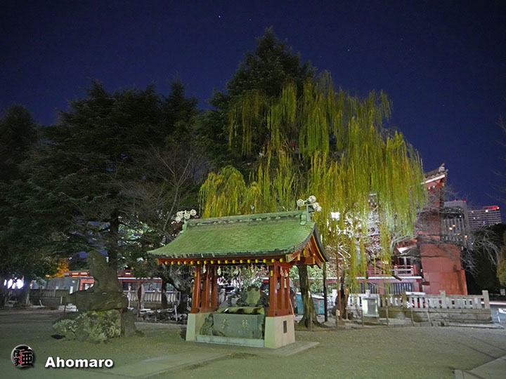 写真00