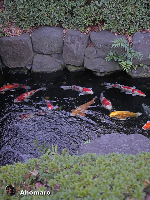 写真00